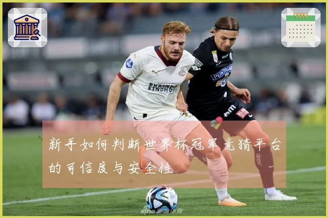 新手如何判断世界杯冠军竞猜平台的可信度与安全性