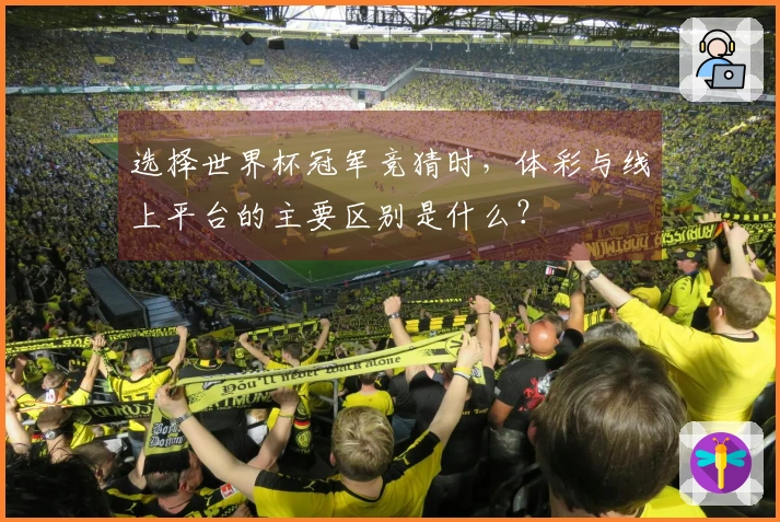 选择世界杯冠军竞猜时，体彩与线上平台的主要区别是什么？