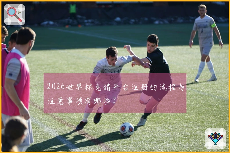 2026世界杯竞猜平台注册的流程与注意事项有哪些？