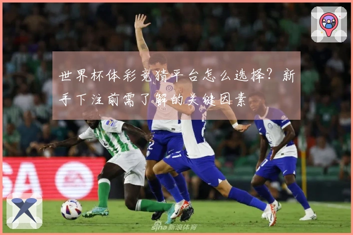 世界杯体彩竞猜平台怎么选择？新手下注前需了解的关键因素