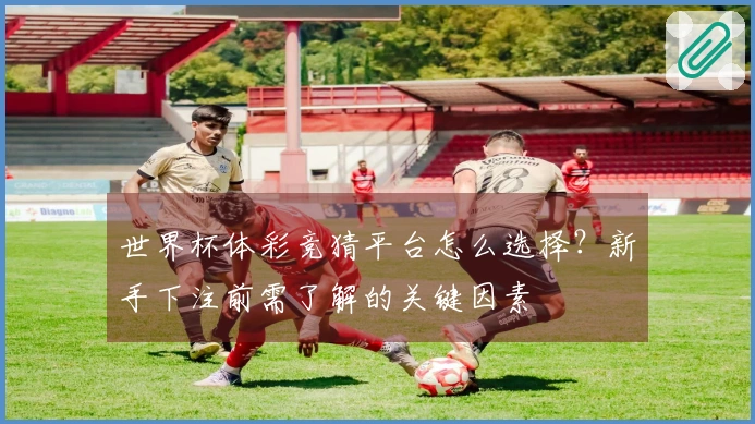 世界杯体彩竞猜平台怎么选择？新手下注前需了解的关键因素