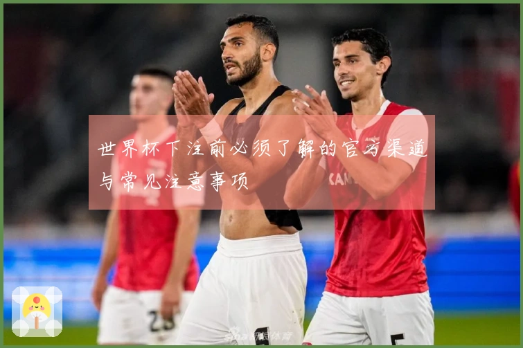 世界杯下注前必须了解的官方渠道与常见注意事项