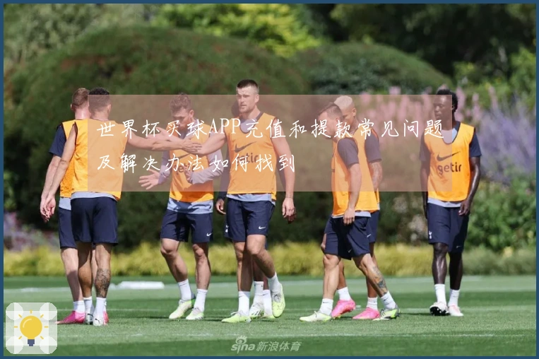 世界杯买球APP充值和提款常见问题及解决办法如何找到