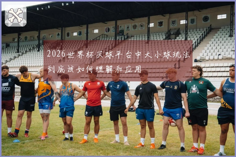 2026世界杯买球平台中大小球玩法到底该如何理解和应用