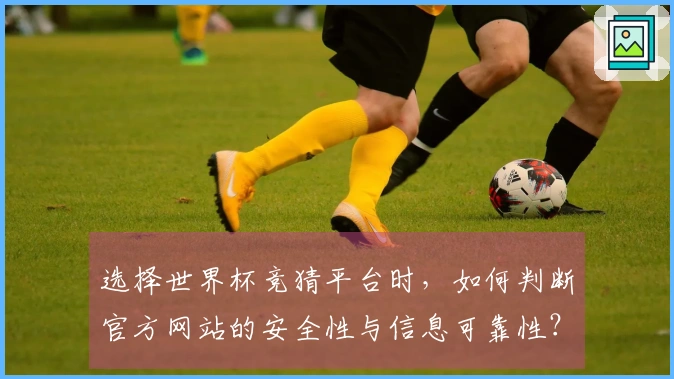 选择世界杯竞猜平台时，如何判断官方网站的安全性与信息可靠性？