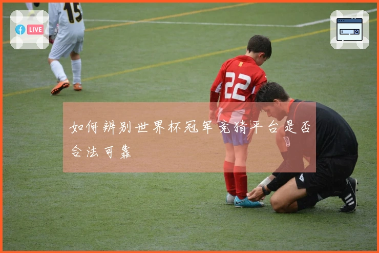 如何辨别世界杯冠军竞猜平台是否合法可靠