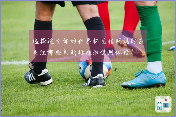 选择适合你的世界杯竞猜网站时应关注哪些判断标准和使用体验？