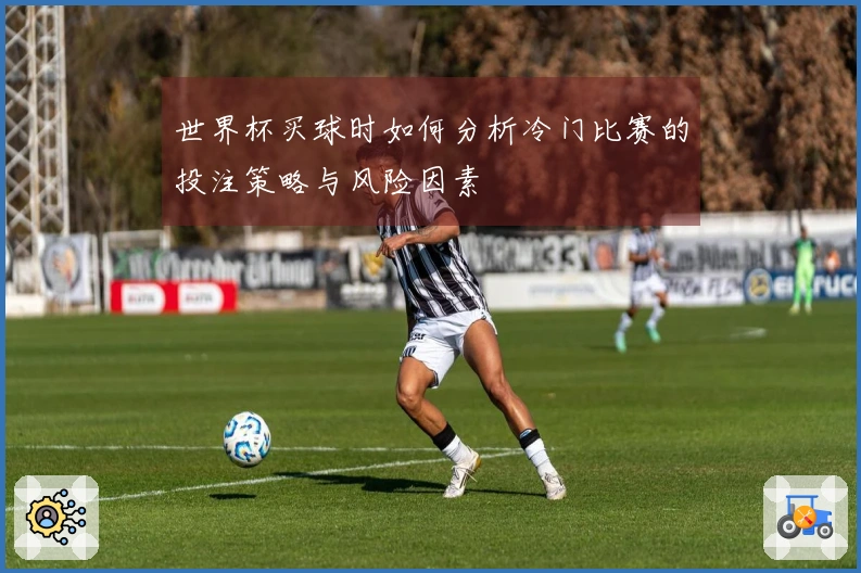 世界杯买球时如何分析冷门比赛的投注策略与风险因素