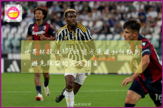 世界杯投注APP的官方渠道如何甄别，避免踩雷的实用指南