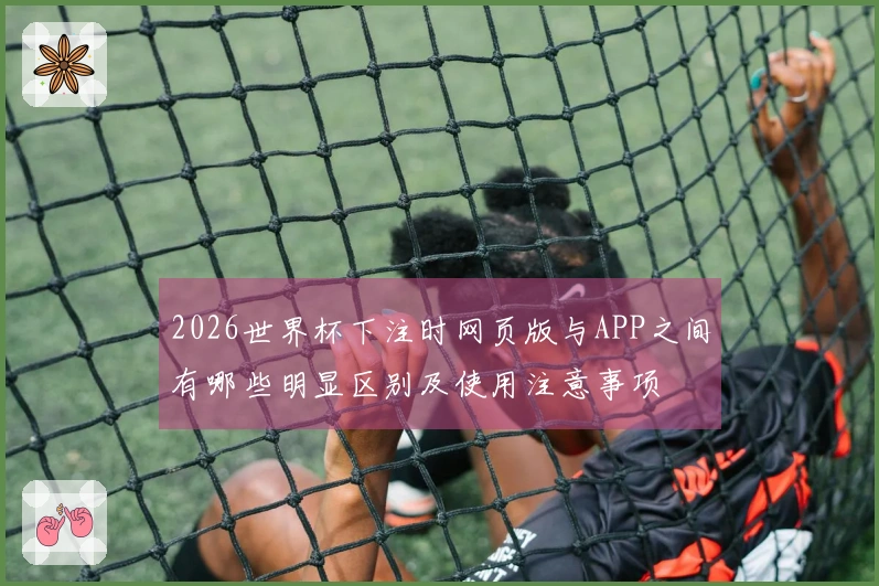 2026世界杯下注时网页版与APP之间有哪些明显区别及使用注意事项