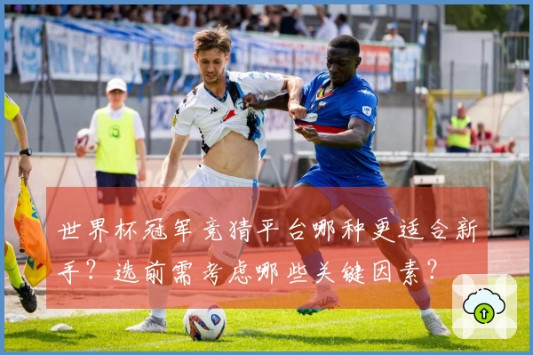 世界杯冠军竞猜平台哪种更适合新手？选前需考虑哪些关键因素？