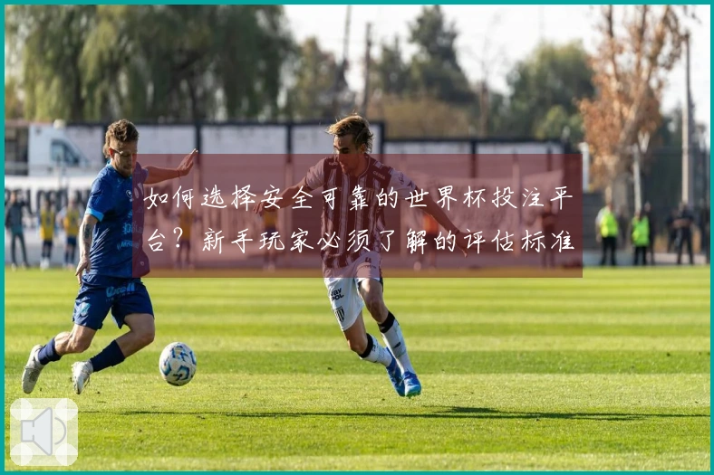 如何选择安全可靠的世界杯投注平台？新手玩家必须了解的评估标准与注意事项