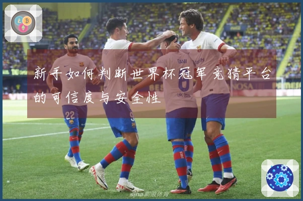 新手如何判断世界杯冠军竞猜平台的可信度与安全性