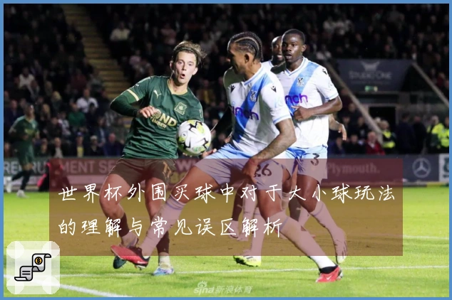世界杯外围买球中对于大小球玩法的理解与常见误区解析