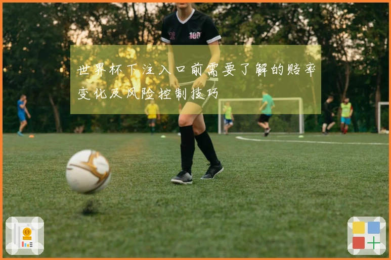 世界杯下注入口前需要了解的赔率变化及风险控制技巧