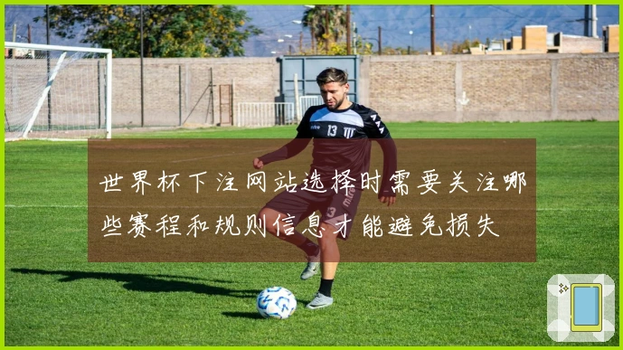 世界杯下注网站选择时需要关注哪些赛程和规则信息才能避免损失