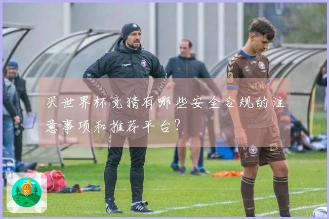 买世界杯竞猜有哪些安全合规的注意事项和推荐平台？