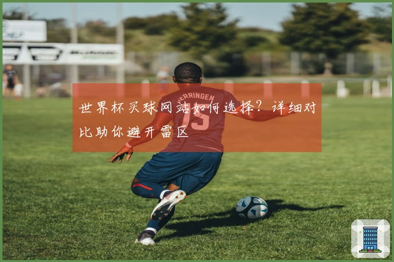 世界杯买球网站如何选择？详细对比助你避开雷区