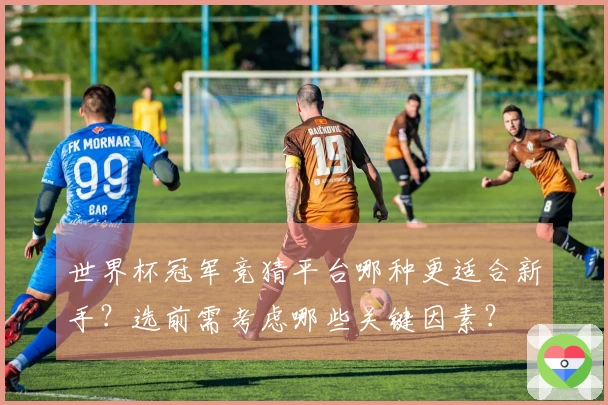世界杯冠军竞猜平台哪种更适合新手？选前需考虑哪些关键因素？